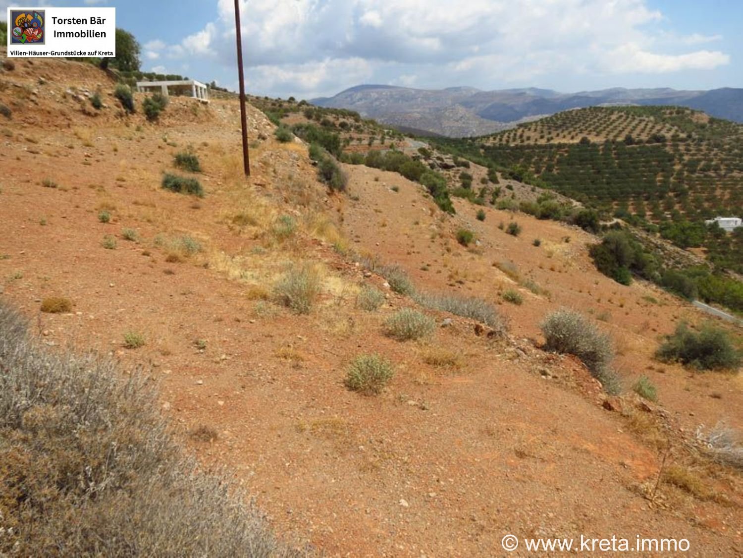 Foto der Immobilie (28343)