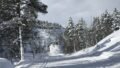 Foto der Immobilie (28826)