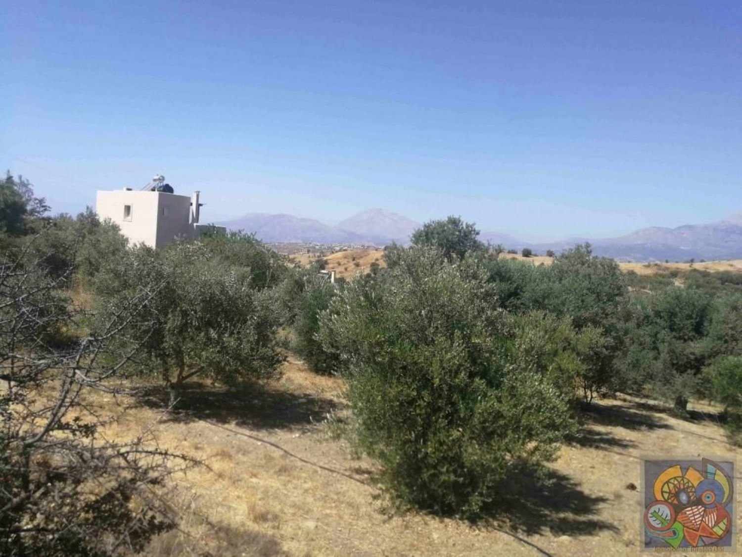 Foto der Immobilie (33115)