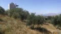 Foto der Immobilie (33116)