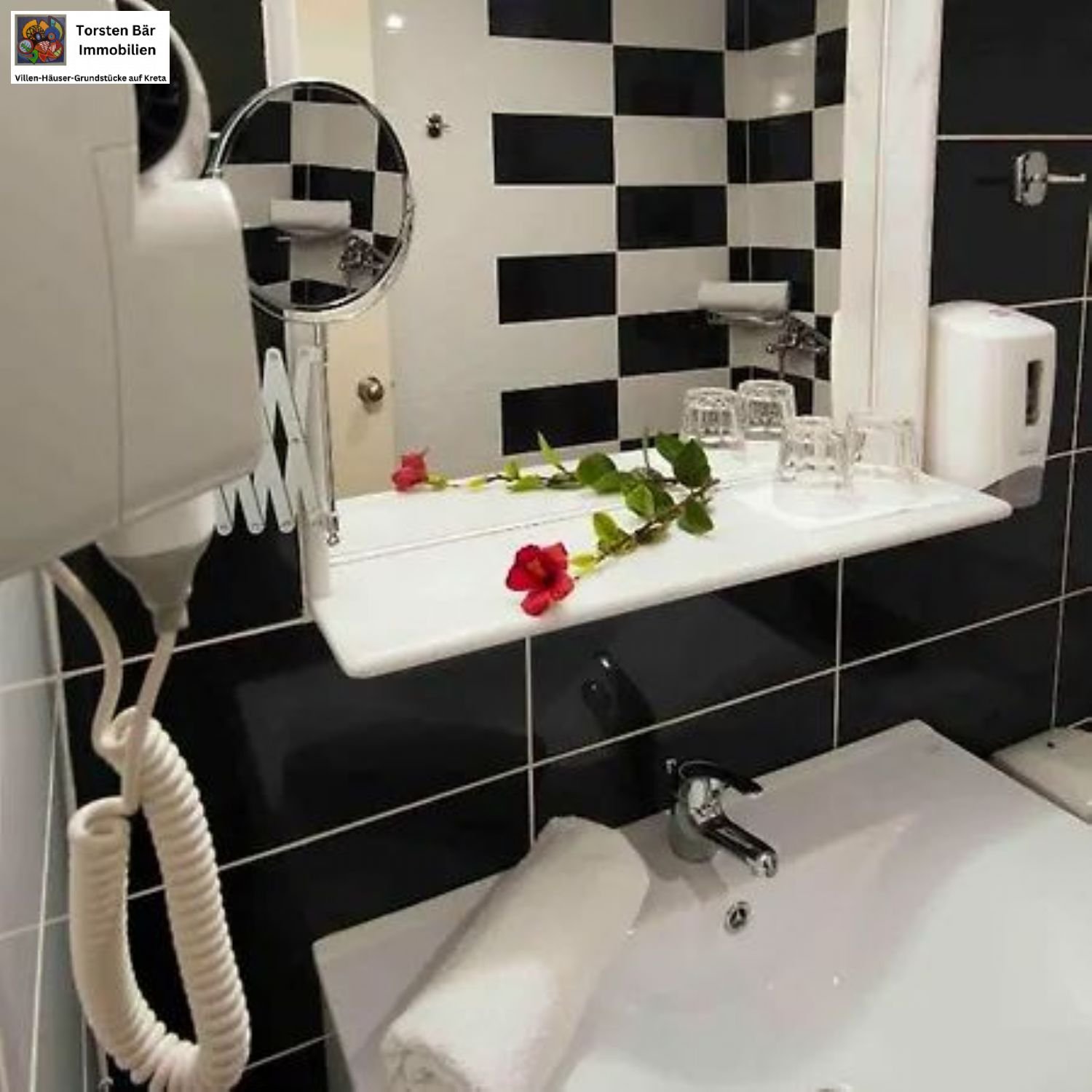 Foto der Immobilie (27924)
