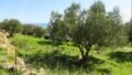 Foto der Immobilie (29723)