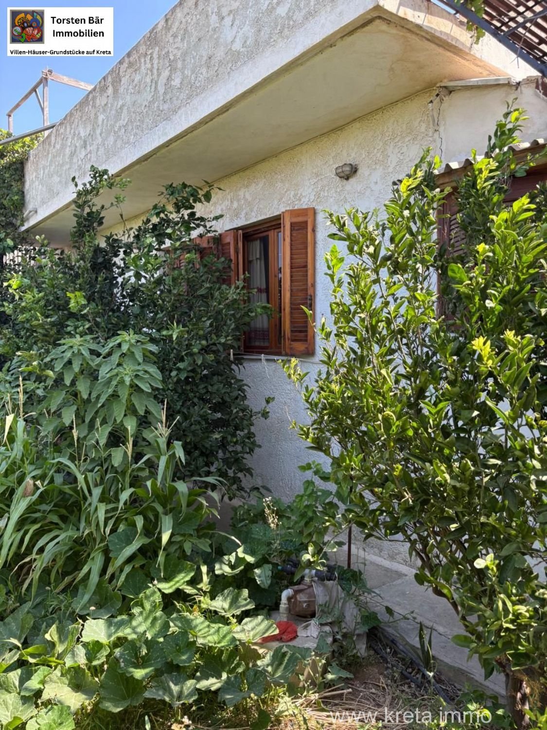 Foto der Immobilie (31509)