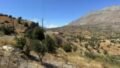 Foto der Immobilie (27160)