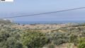 Foto der Immobilie (30343)