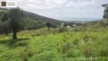 Foto der Immobilie (30566)