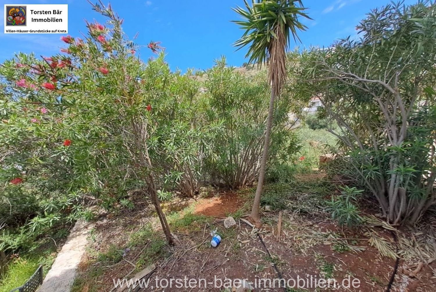 Foto der Immobilie (25897)