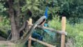 Foto der Immobilie (35878)