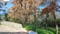 Foto der Immobilie (36065)