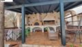 Foto der Immobilie (36063)