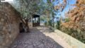 Foto der Immobilie (36057)