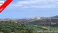 Foto der Immobilie (36095)